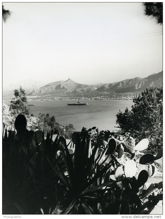 Italie Baie De Palerme Panorama Cactus Ancienne Photo 1961 - Places