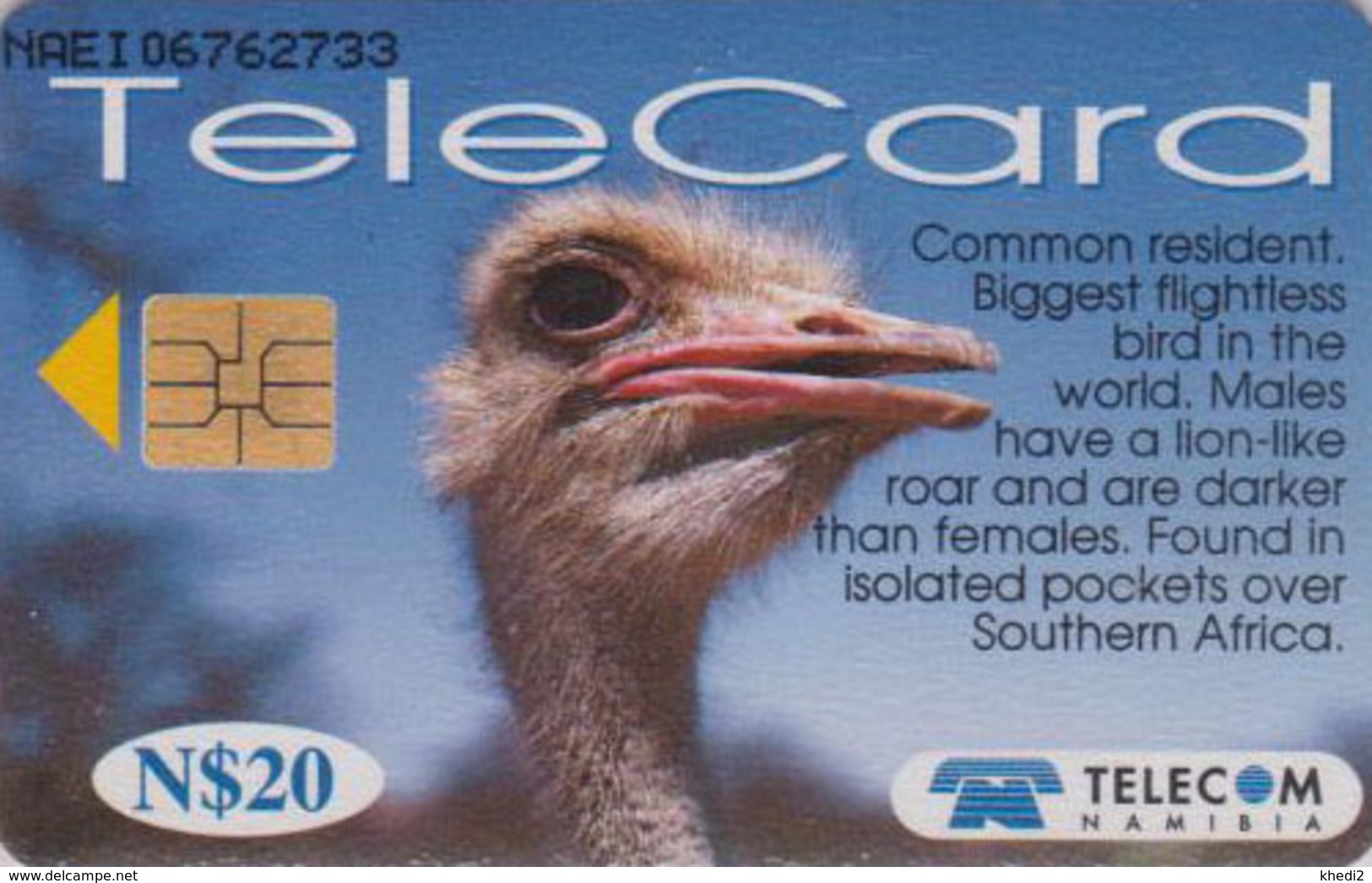 Télécarte à Puce NAMIBIE - Animal - Oiseau - AUTRUCHE - OSTRICH Bird NAMIBIA Chip Phonecard - STRAUSS Vogel - 4511 - Namibia