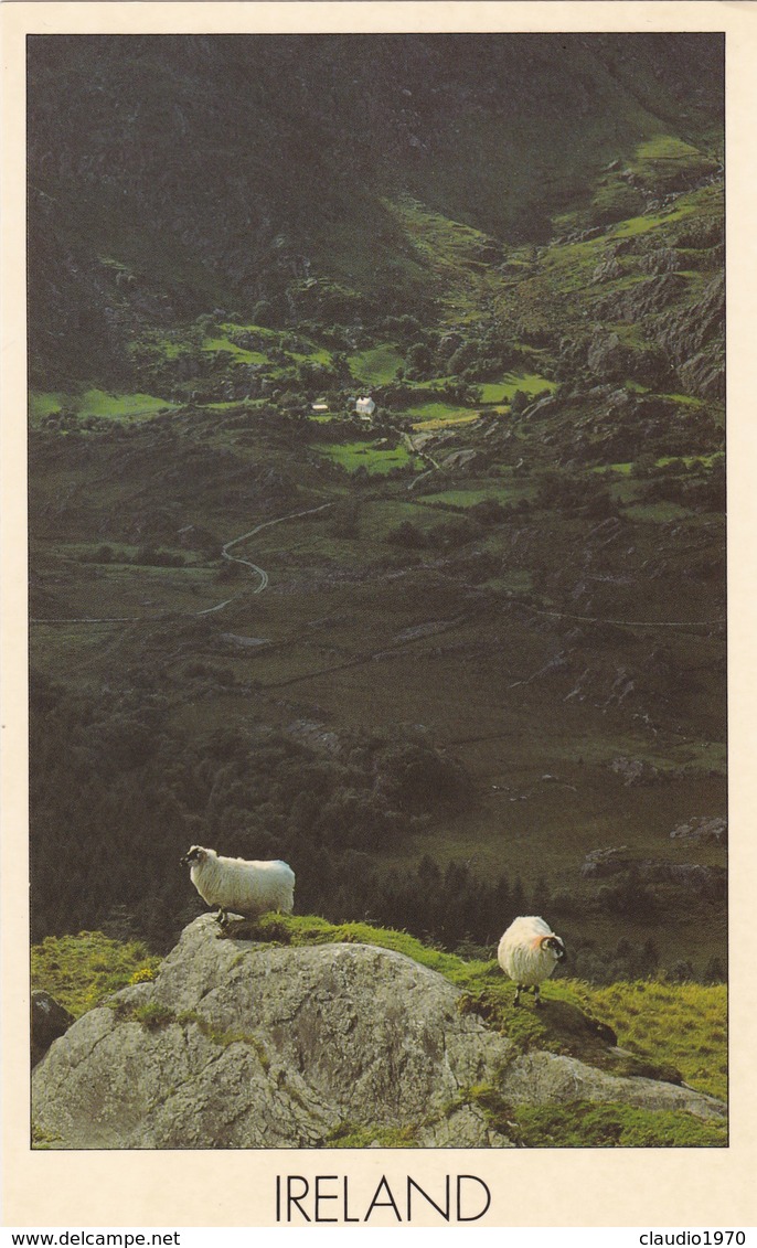 CARTOLINA - POSTCARD - IRELAND - IRLANDA - Altri & Non Classificati