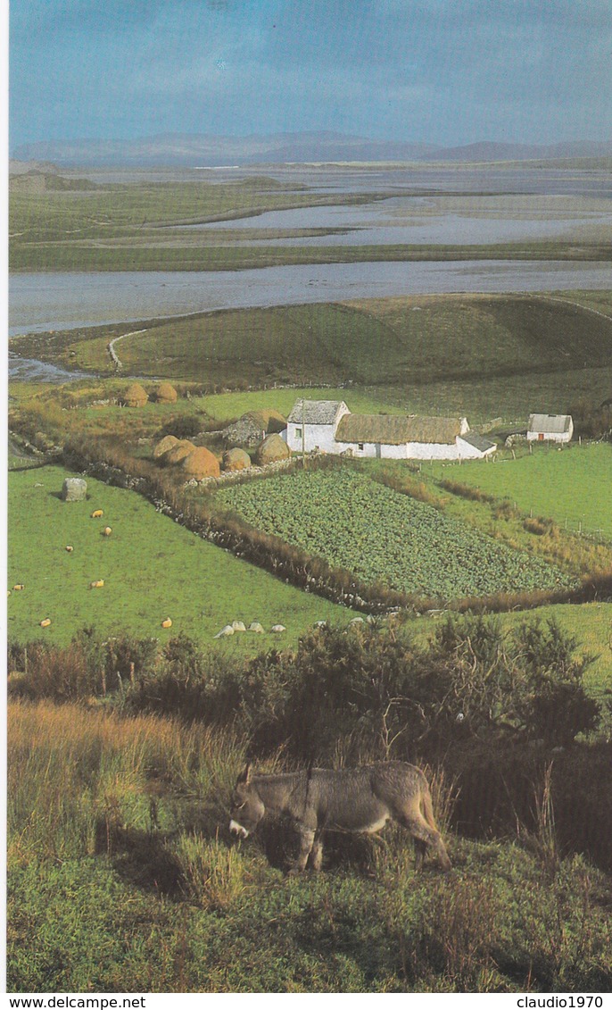 CARTOLINA - POSTCARD - IRELAND - IRLANDA - DONEGAL - Donegal