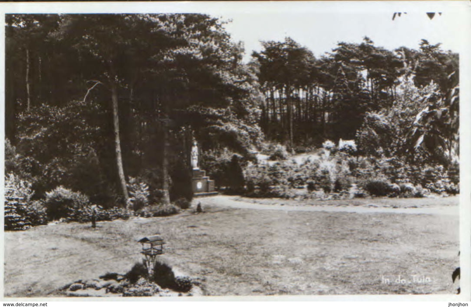 Nederland - Postcard Circulated In 1960 - Venlo  -  In The Garden - 2/scans - Venlo