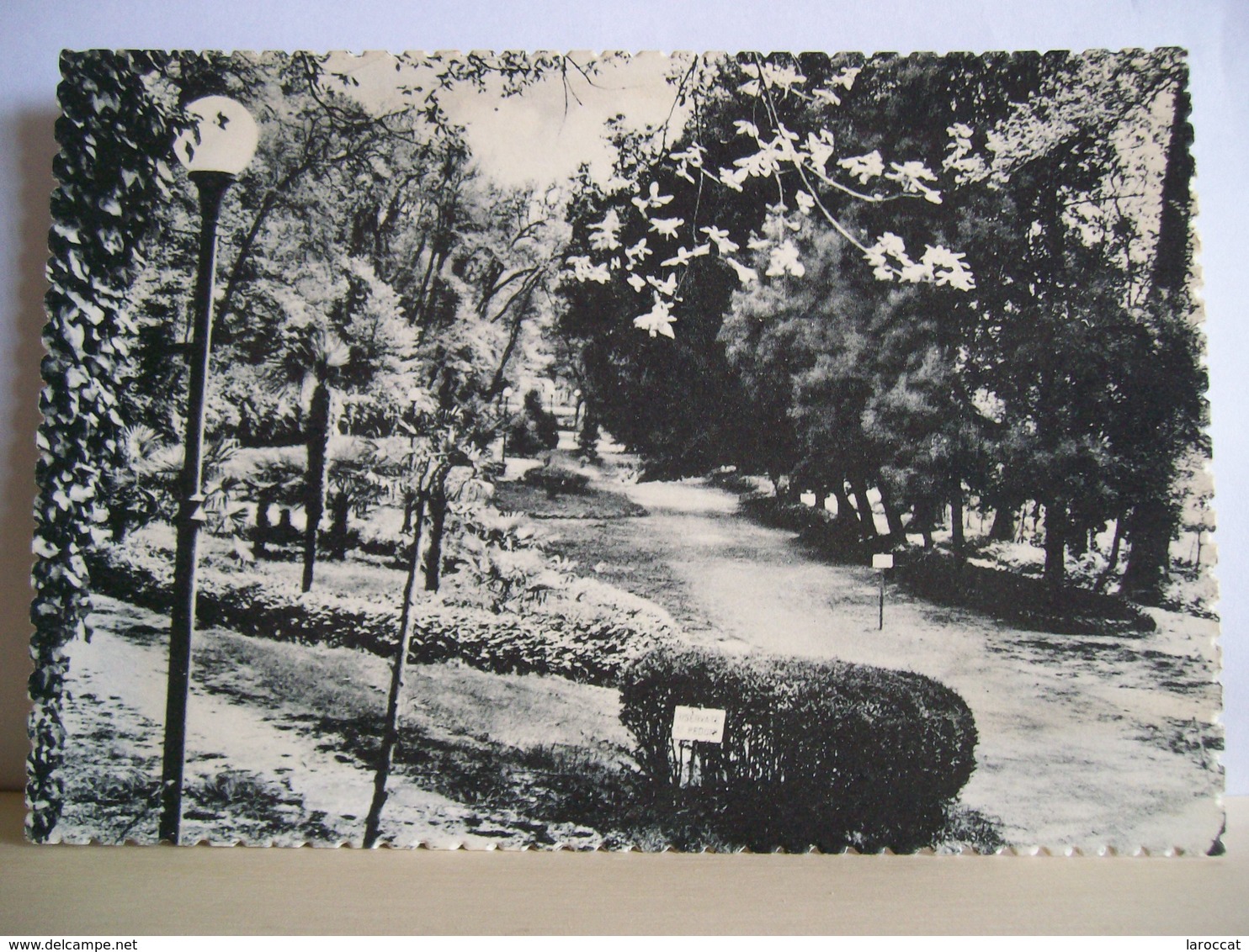 1958 - Imola - Parco Acque Minerali - Particolare - Scritta Da Angelo Banzola - Cartolina Originale - Imola