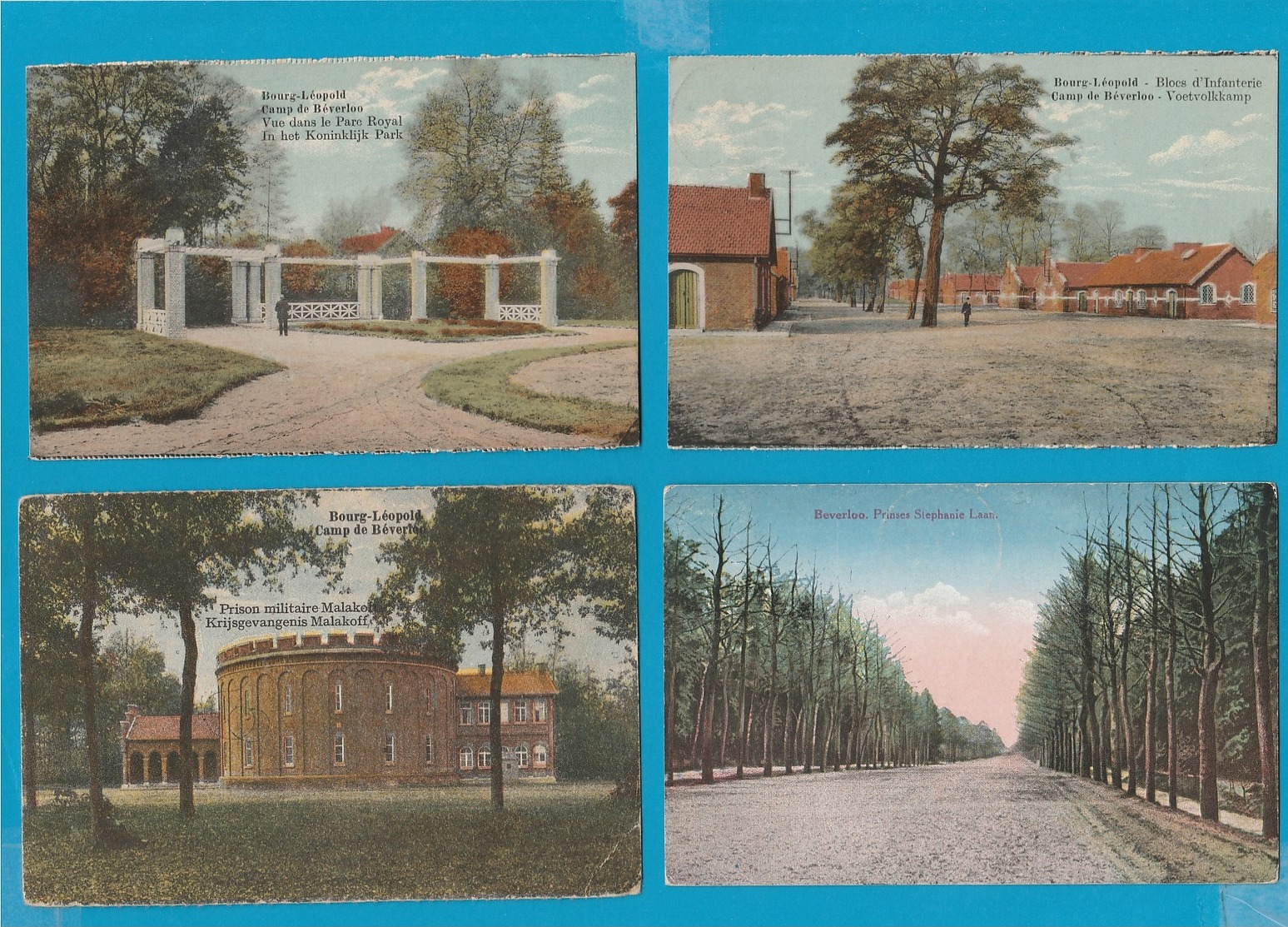 BELGIË Lot van 50 oude Postkaarten (Camp van Beverlo)