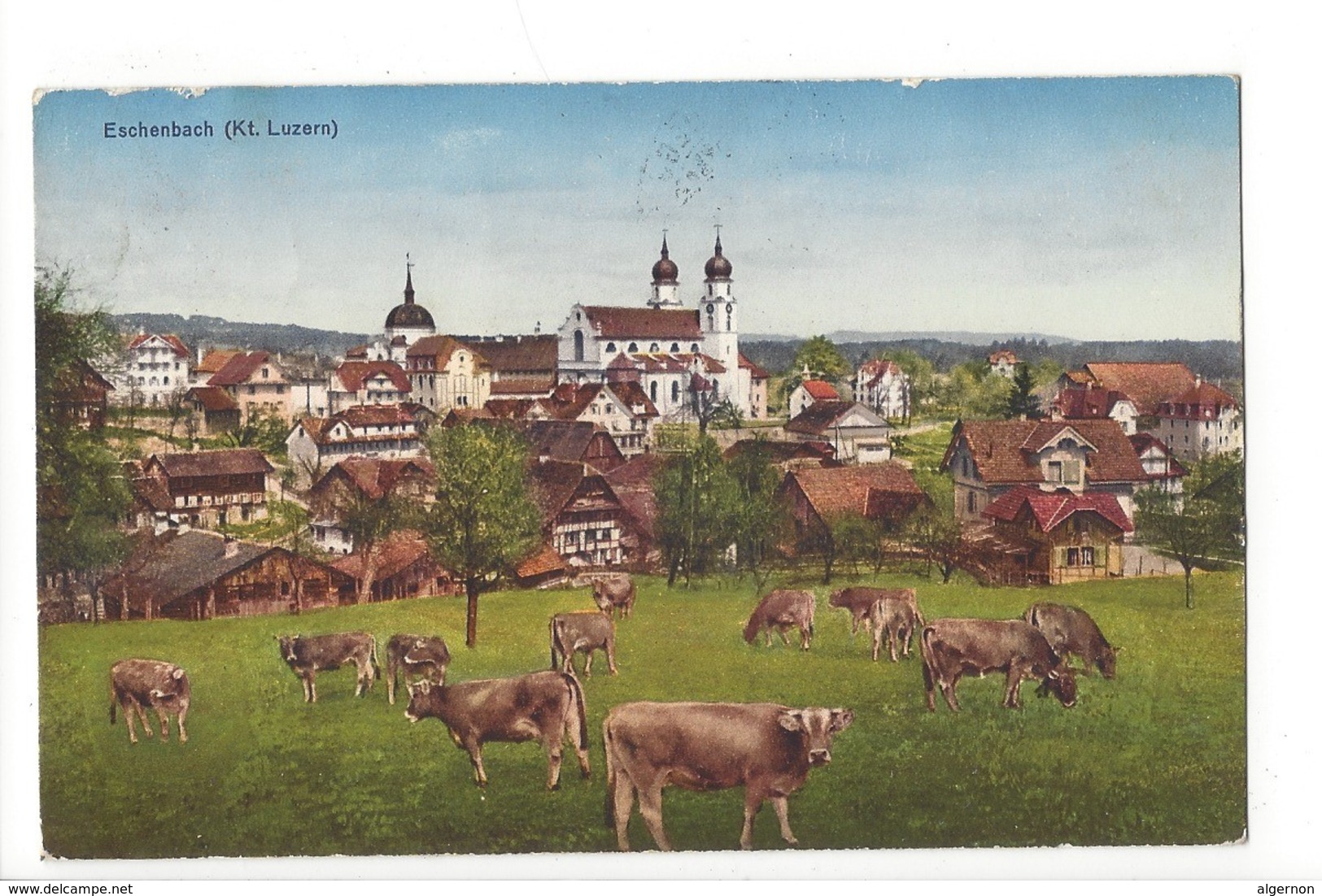 20205 - Eschenbach Troupeau De Vaches - Eschenbach