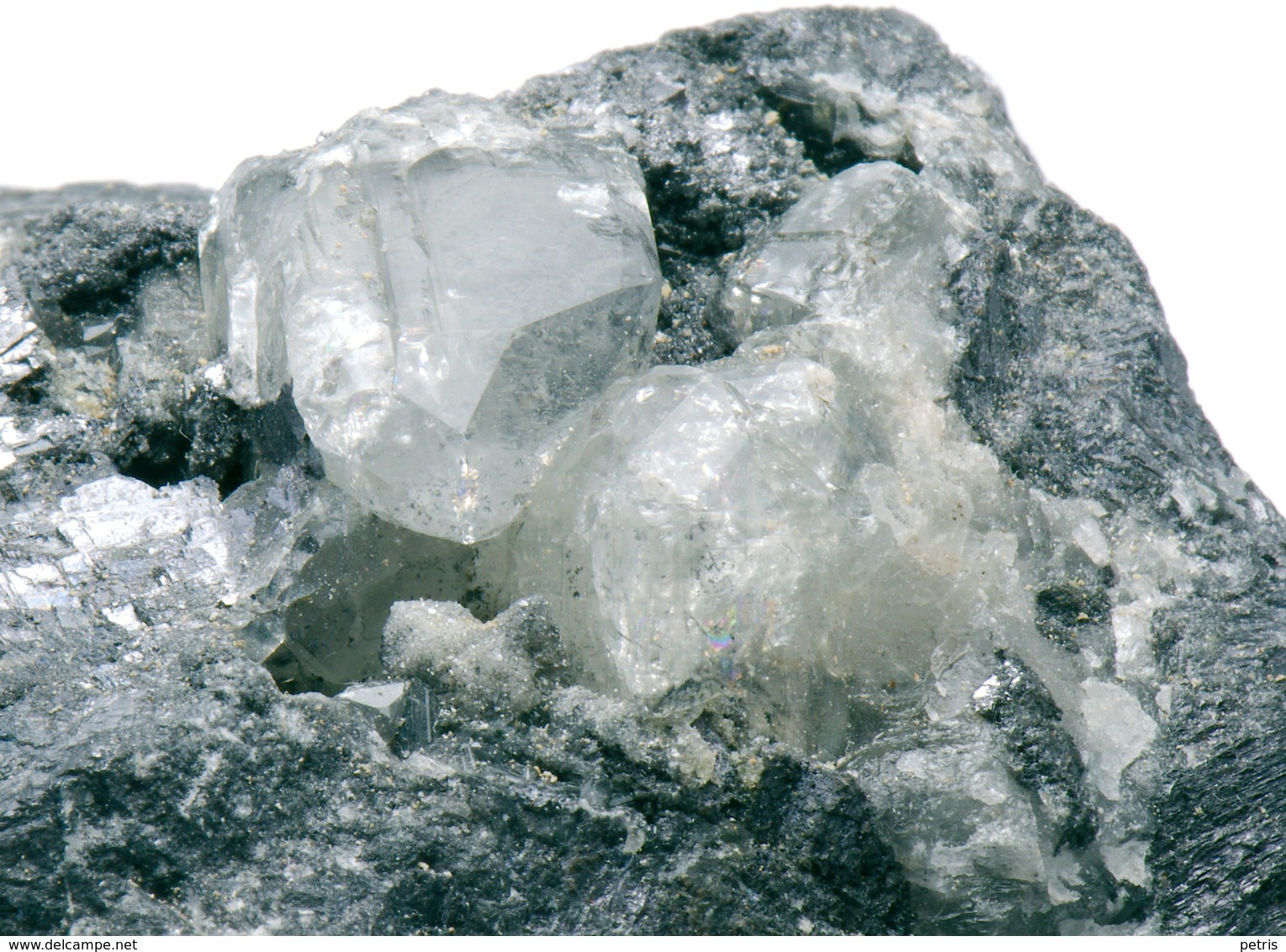 Mineral - Anglesite Su Galena (Monteponi, Sardegna) - Lot. 1 - Minerals