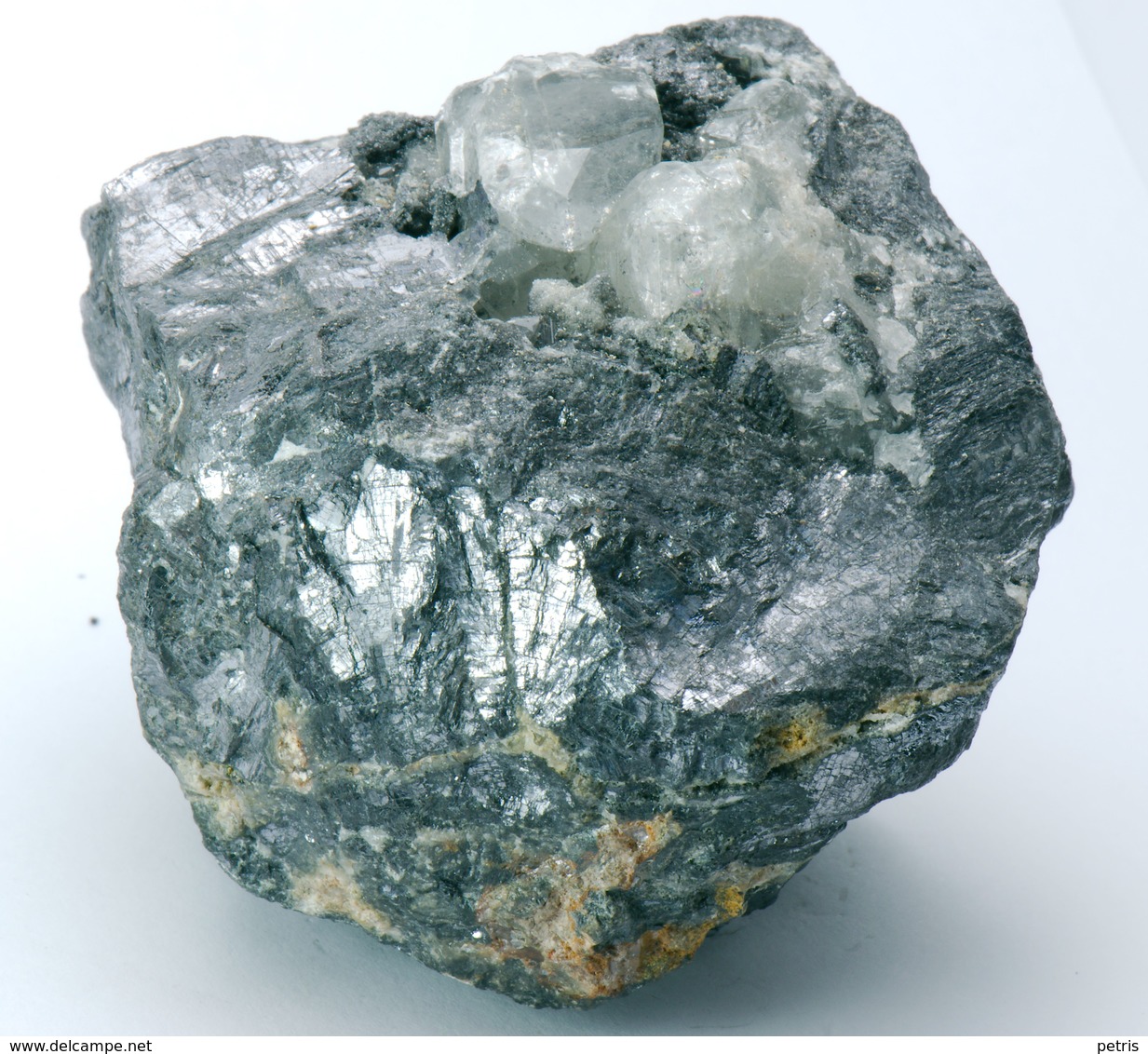 Mineral - Anglesite Su Galena (Monteponi, Sardegna) - Lot. 1 - Minerals