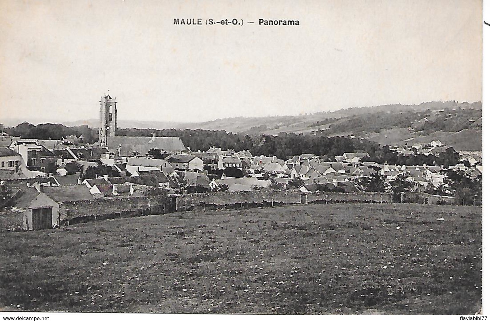 MAULE - ( 78 ) - Panorama - Maule