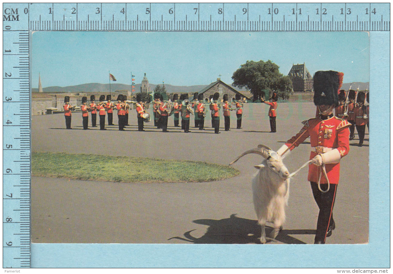 Citadel Quebec Canada  - Changement De Garde Ainsi Que La Mascote  -  CPM Post Card, Carte Postale - Québec - La Citadelle