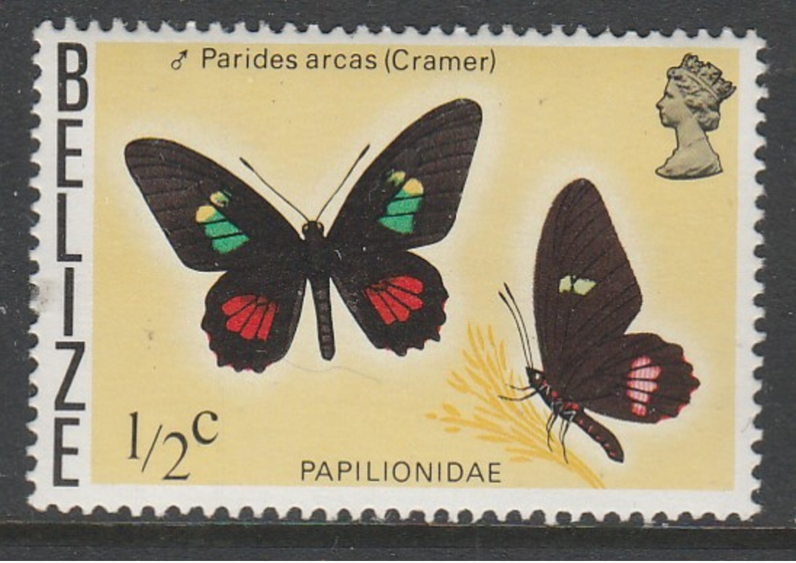 Belize  1974 -1978 Butterflies Of Belize MNH SW 34 - Belize (1973-...)