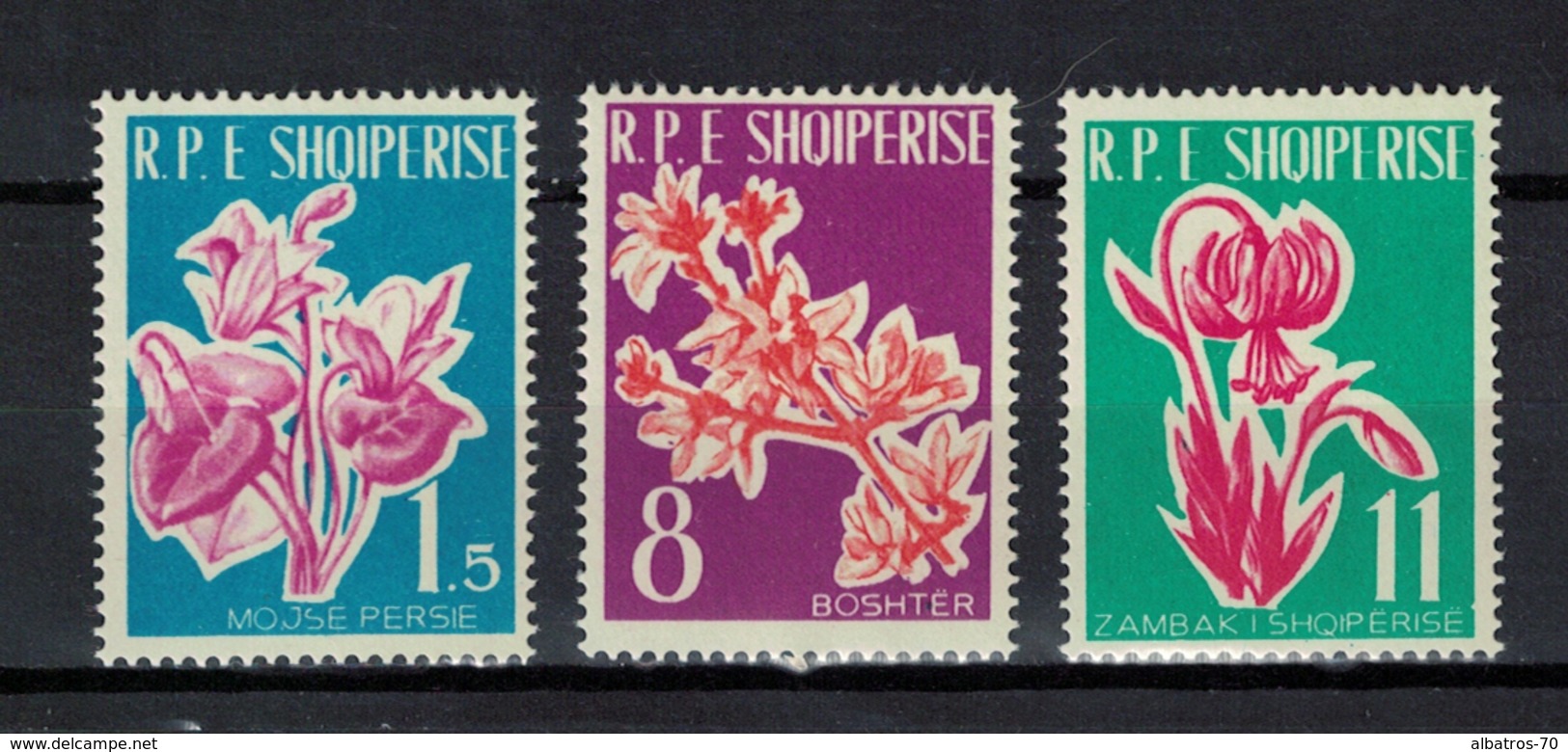 Albania 1961 _ Flowers _ Full Set - MNH ** - Albania