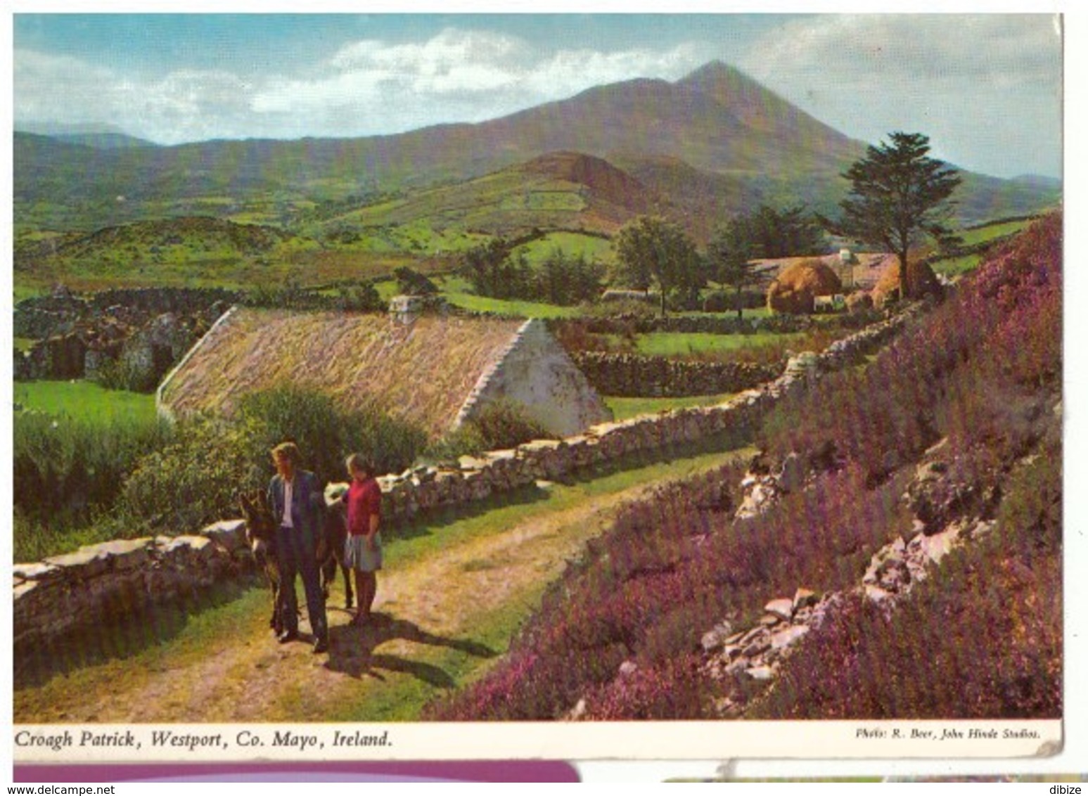 Post Card : Croagh Patrick, Mayo. From Ireland To France. - Mayo