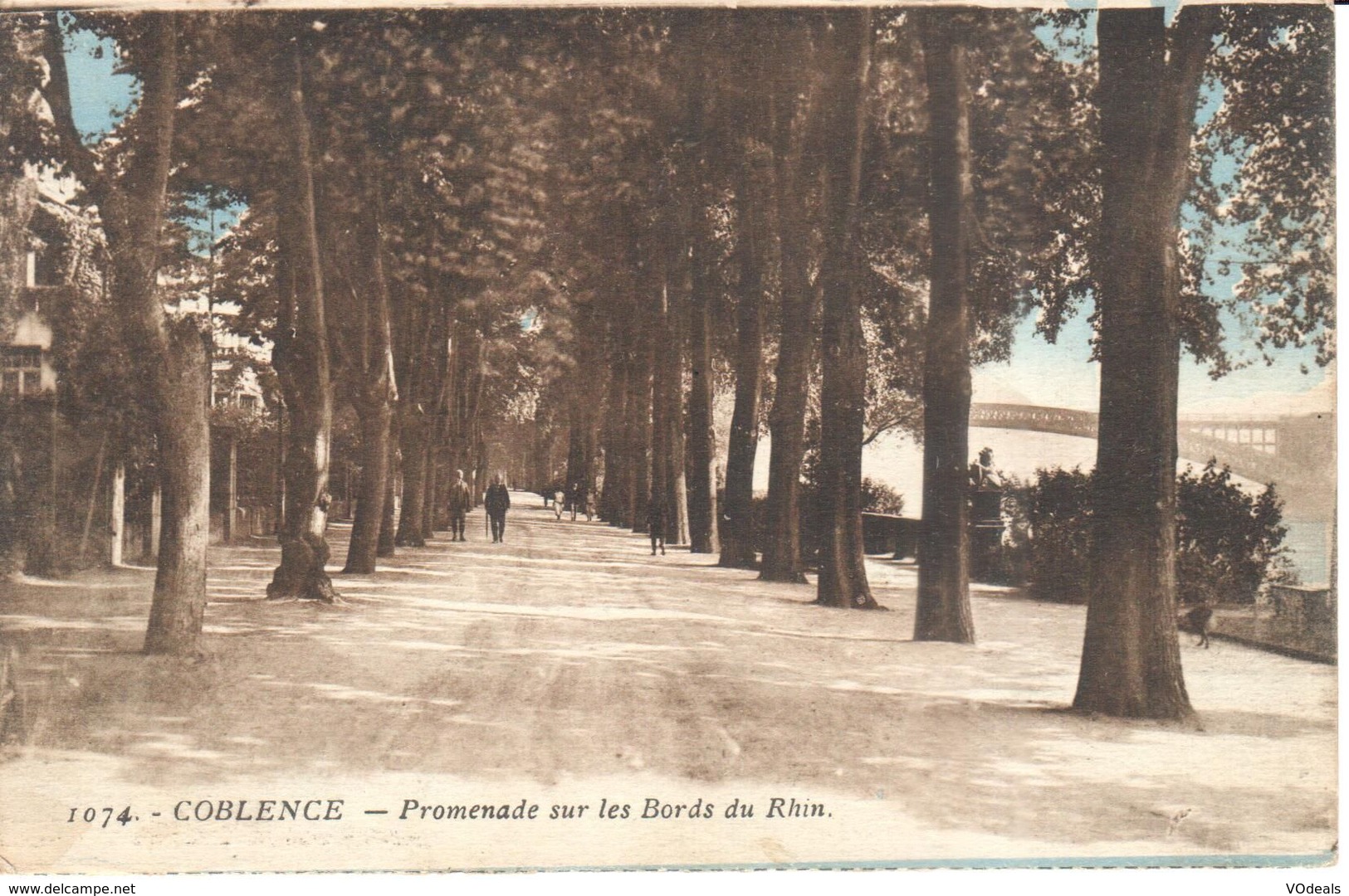 Deutschland - Rhénanie-Palatinat - Koblenz - Promenade Sur Les Bords Du Rhin - Koblenz