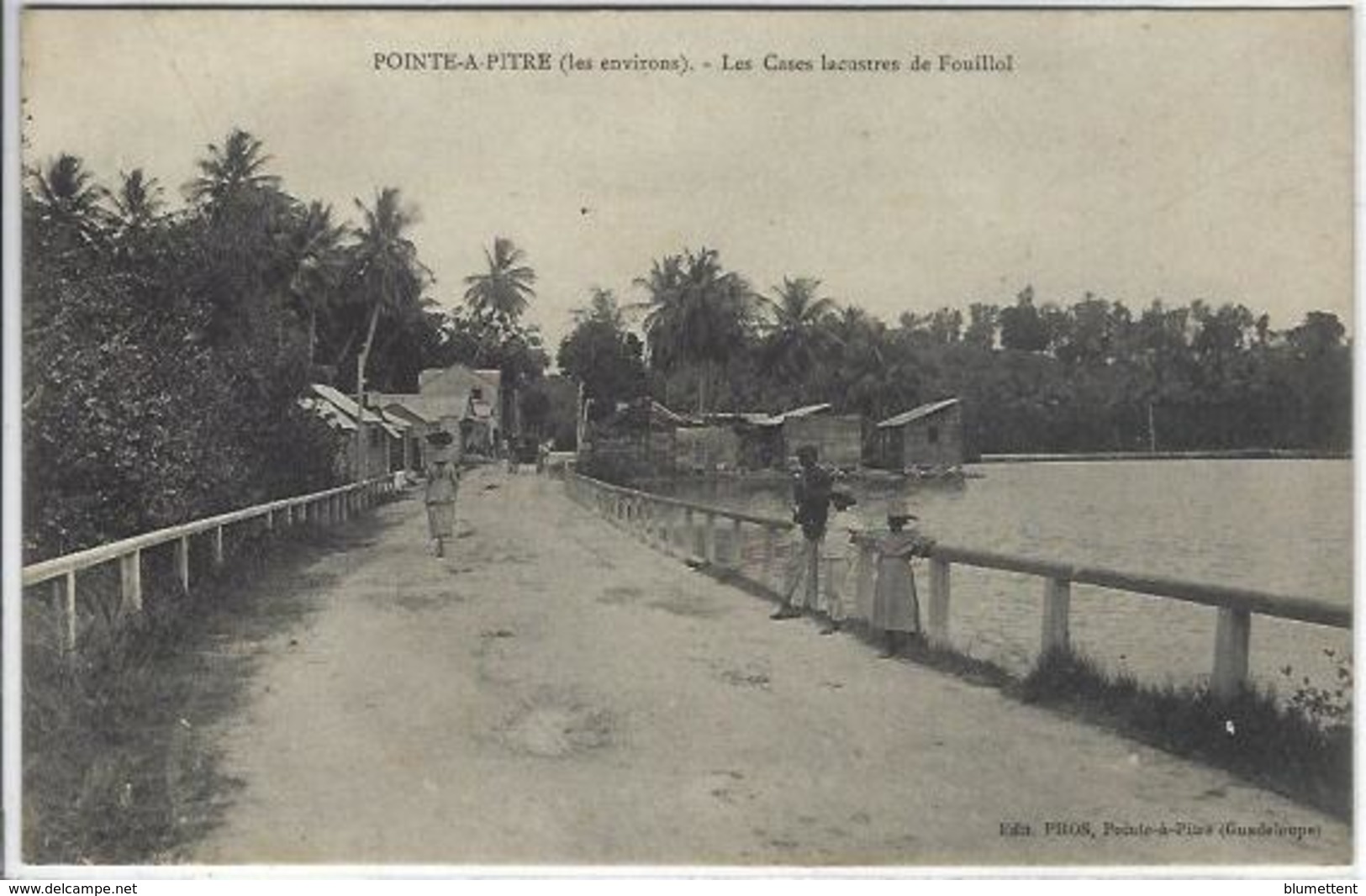 CPA Guadeloupe Pointe à Pitre Non Circulé - Pointe A Pitre