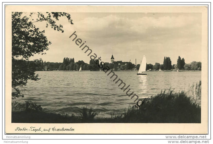 Berlin-Tegel - Auf Hasselwerder Gel. 1955 - Tegel