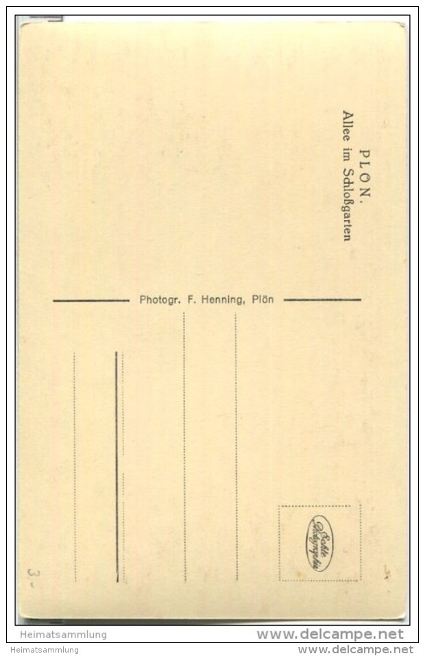 Plön - Allee Im Schlossgarten - Foto-AK - Ploen