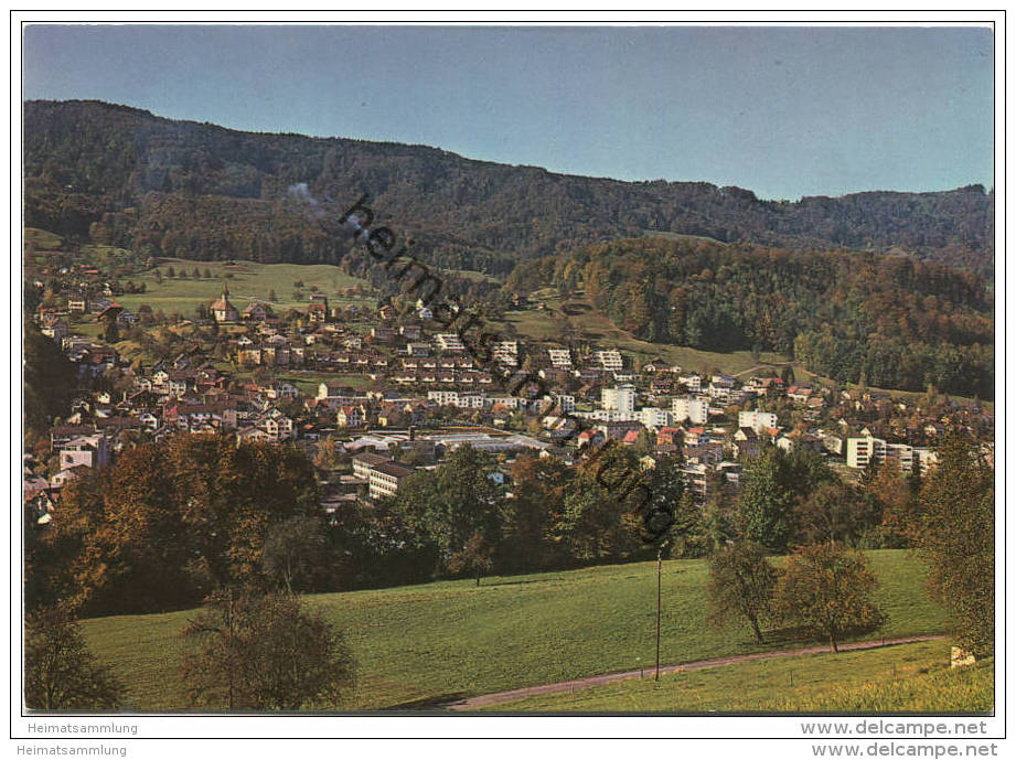 Langnau Am Albis - AK Grossformat - Verlag Rud. Suter Oberrieden - Oberrieden