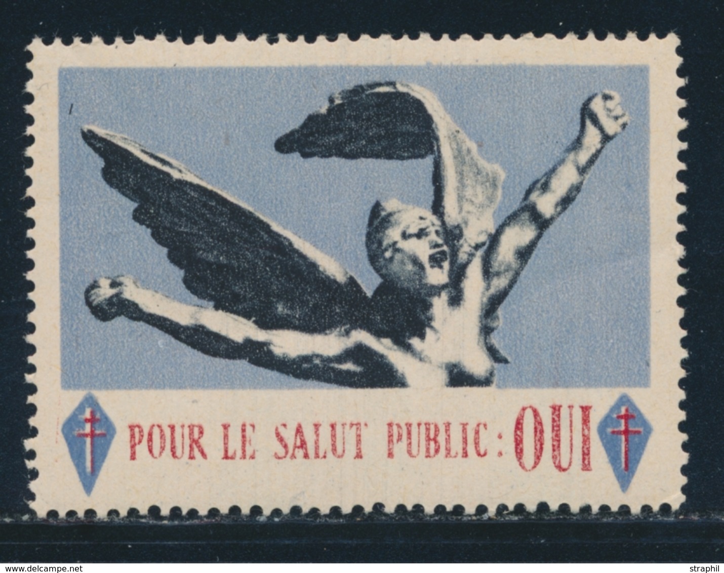 ** DE GAULLE - Vignette Pour Le Salut Public : Oui - Avec Gomme - TB - Liberation