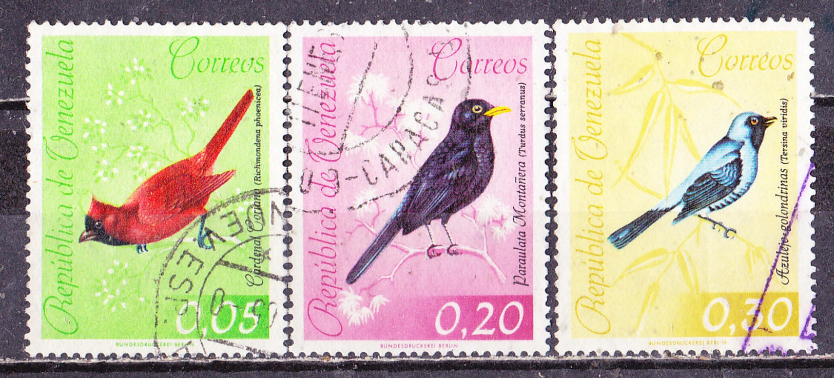 Uccelli-Venezuela 1962 - Sparrows