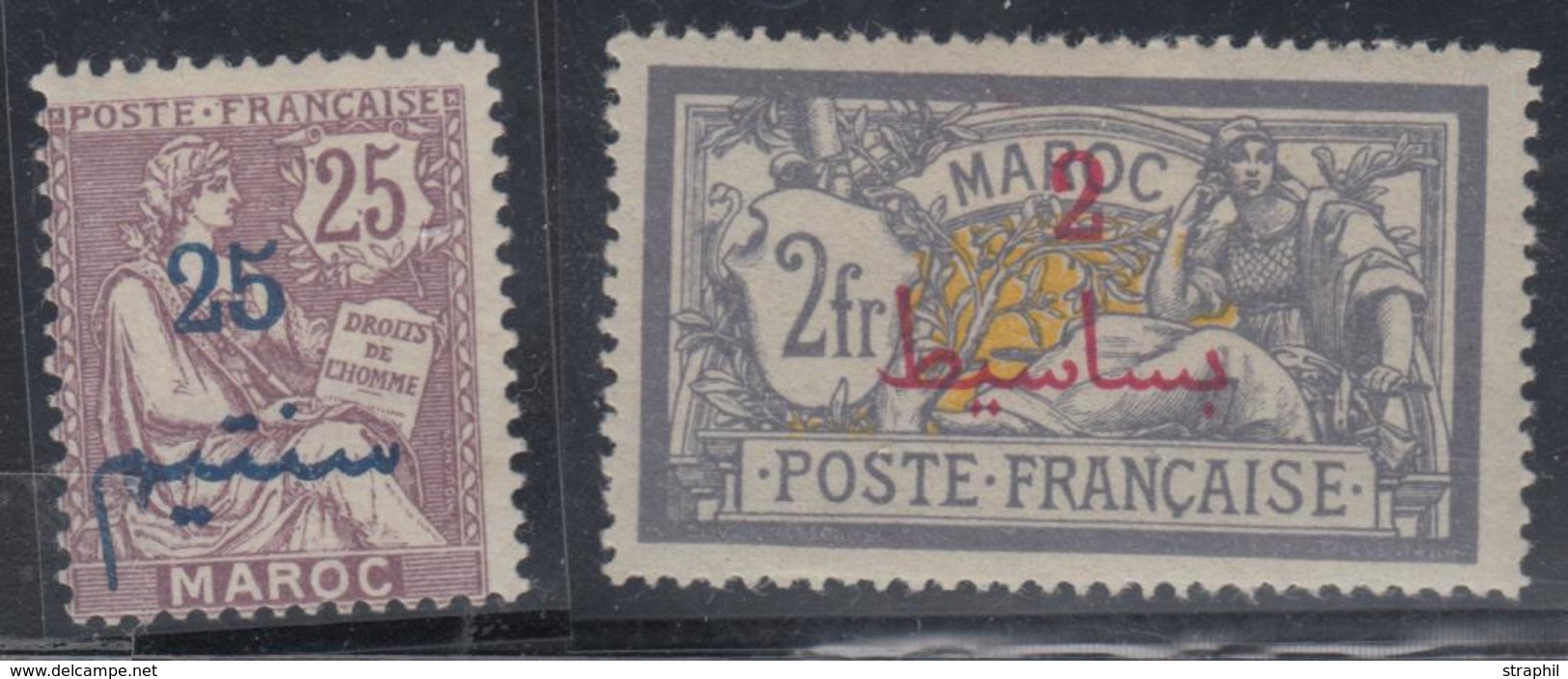 * VARIETES N°45b, 52b - SANS PROTECTORAT - TB - Vide