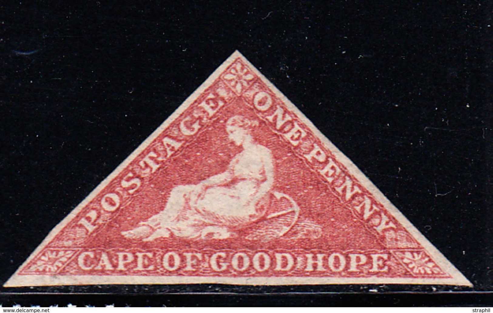 * N°7 - 1p Carmin -TB - Cape Of Good Hope (1853-1904)