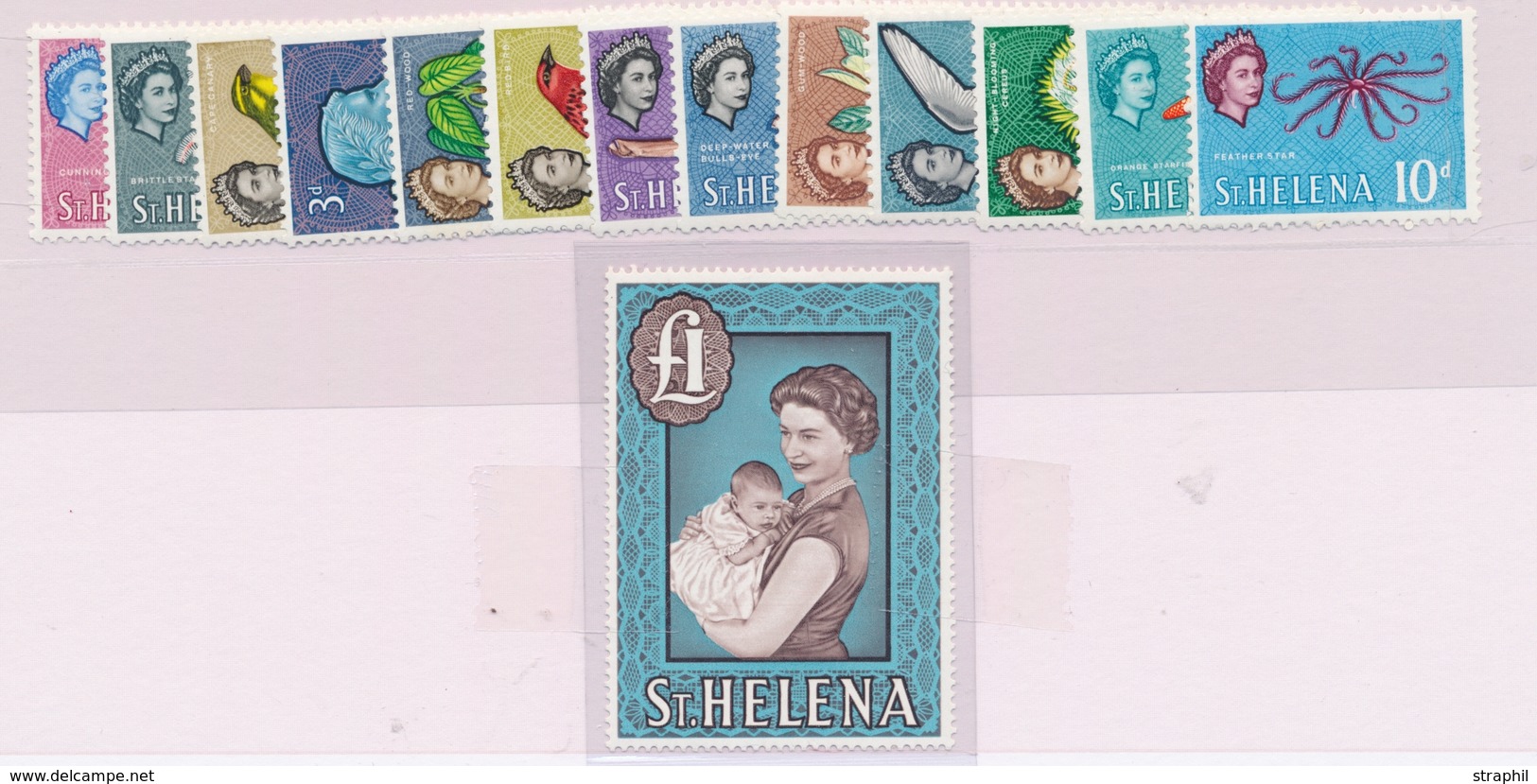 ** N°141/54 - TB - St. Helena