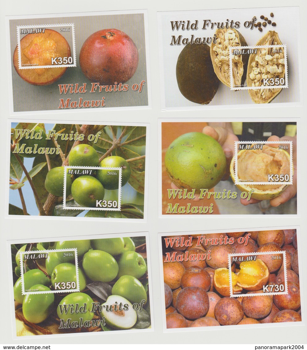 Malawi 2016 Wild Fruits Früchte Flore Flora MNH** - Obst & Früchte