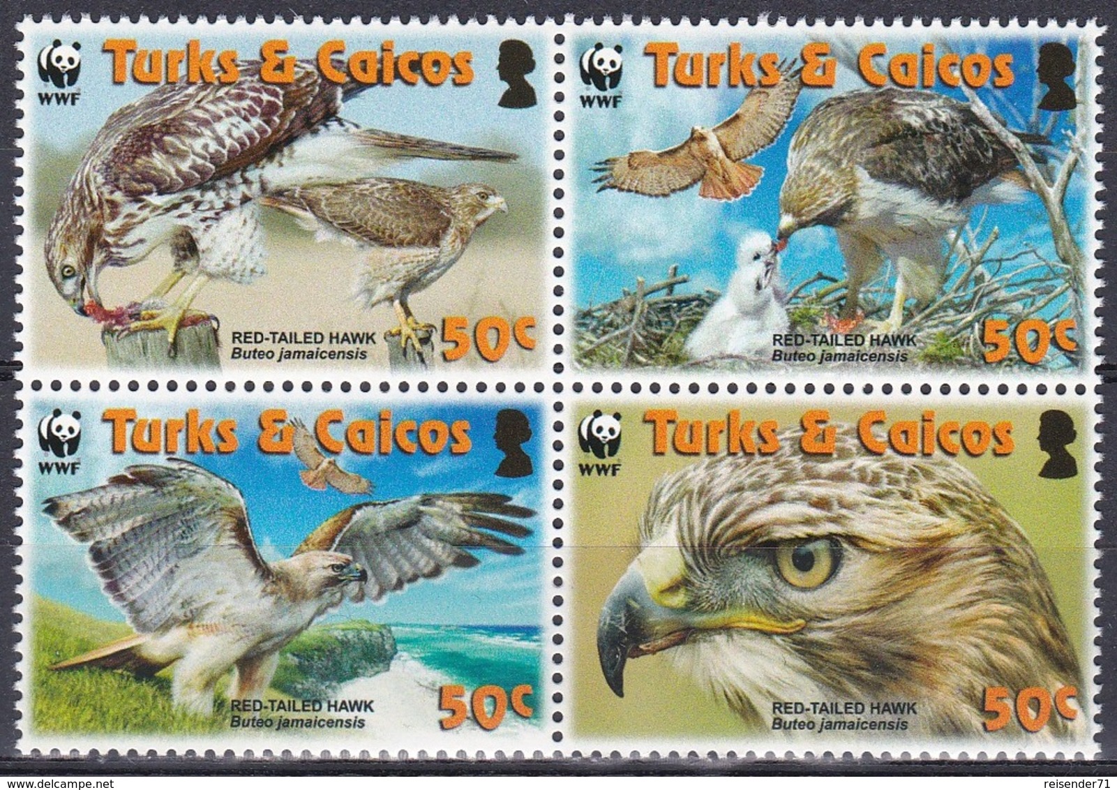Turks Und Caicos 2007 Tiere Fauna Animals Vögel Birds Oiseaux Pajaro Ave Uccelli Bussard Buzzard WWF, Mi. 1853-6 ** - Turks & Caicos