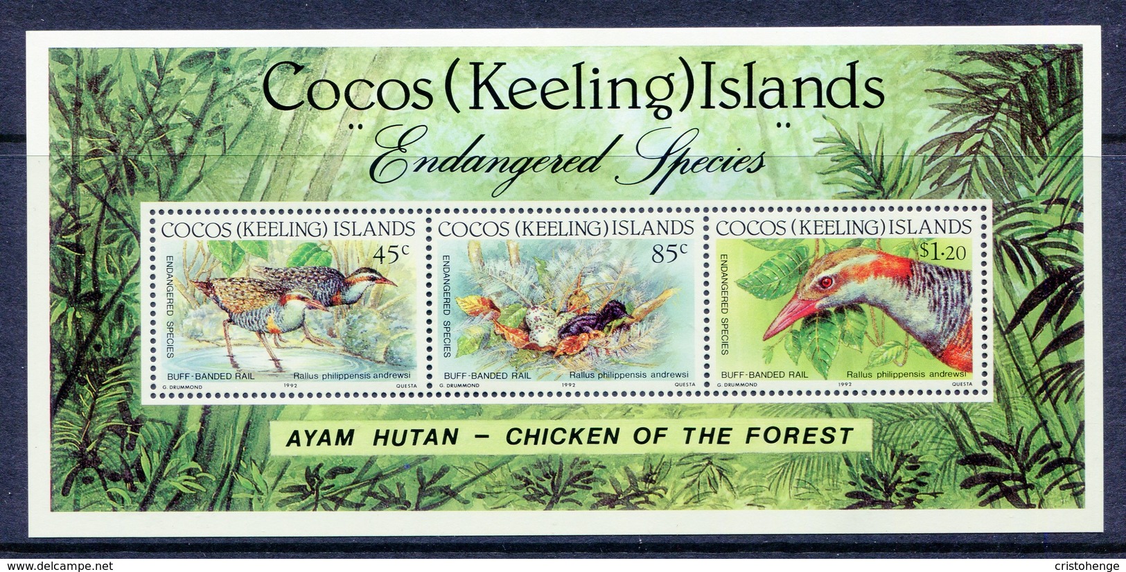 Cocos (Keeling) Islands 1992 Endangered Species - Banded Rail MS MNH (SG MS269) - Kokosinseln (Keeling Islands)