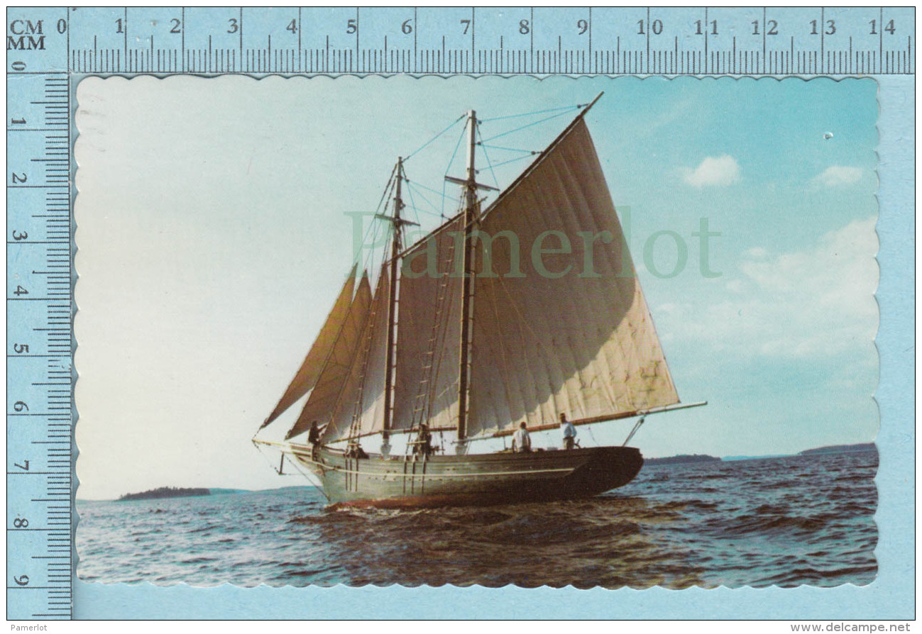 CPSM Voyagé 1976 -Maine's Last Clipper-Bower Fishing Schooner Built 1906  - Timbre US 11&cent; - Pêche