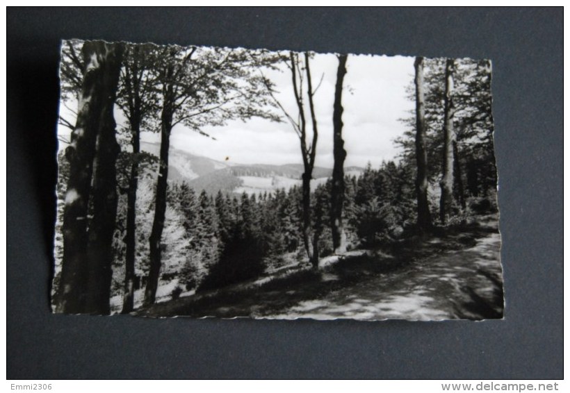 Luftkurot Schwalefeld / Waldeck  Blick Zum Burgring Gelaufen 1956 - Waldeck