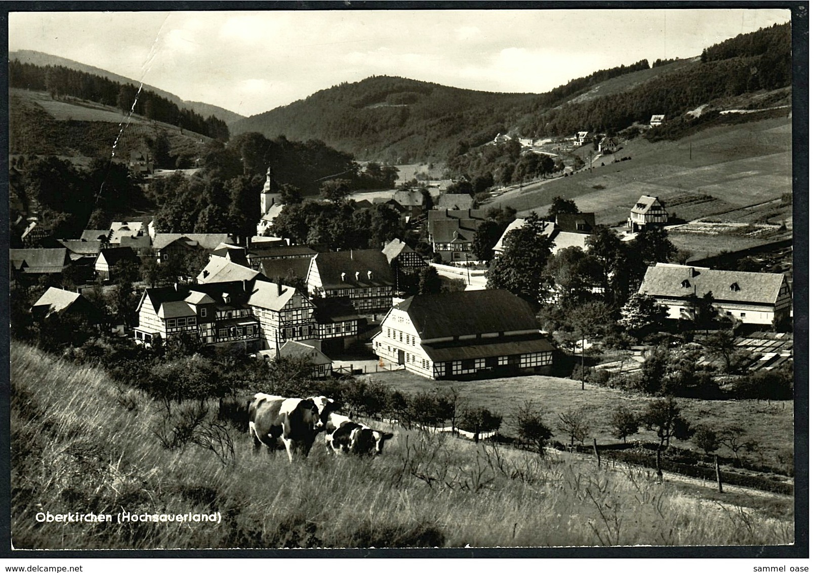 Gasthof Schütte  -  Oberkirchen / Schmallenberg  -  Hochsauerland  -  Ansichtskarte  Ca.1965    (8783) - Schmallenberg