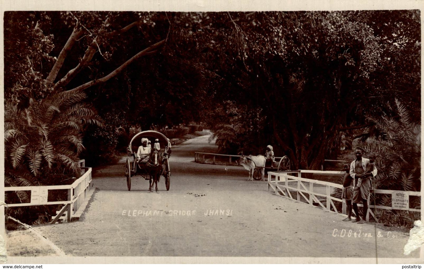 RPPC  ELEPHANT BRIDGE JHANSI  INDIA INDIA INDIEN - Inde