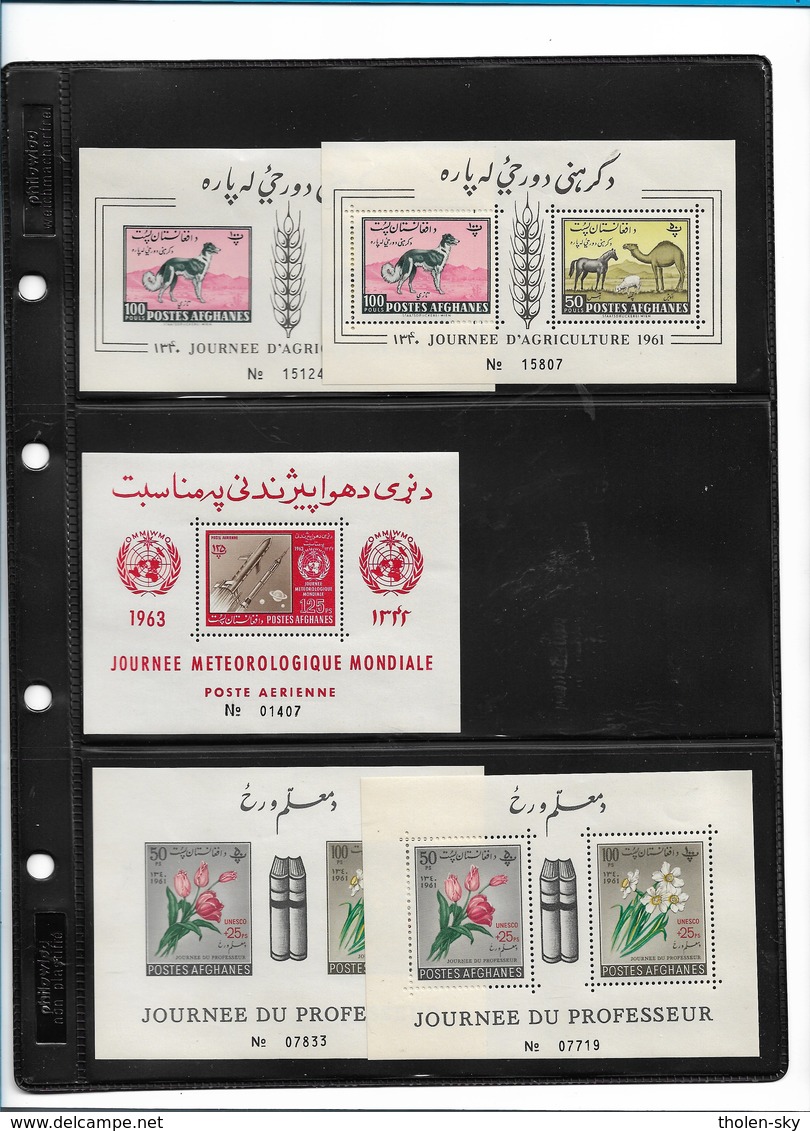 B5     Afghanistan     Verzameling Blokken   MNH    TOP - Afghanistan