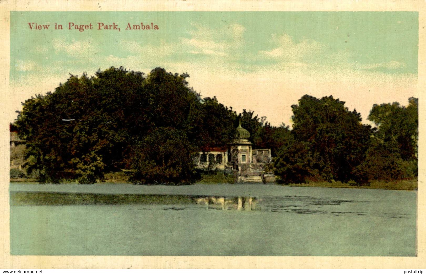 VIEW IN PAGET PARK  AMBALA   INDIA INDIA INDIEN - India