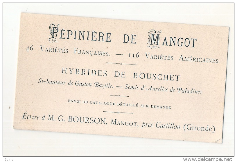 Carte De Visite Ancienne (post Phyloxéra )pépinière De  MANGOT  - Castillon La Bataille Hybride Pied Américain - Other & Unclassified