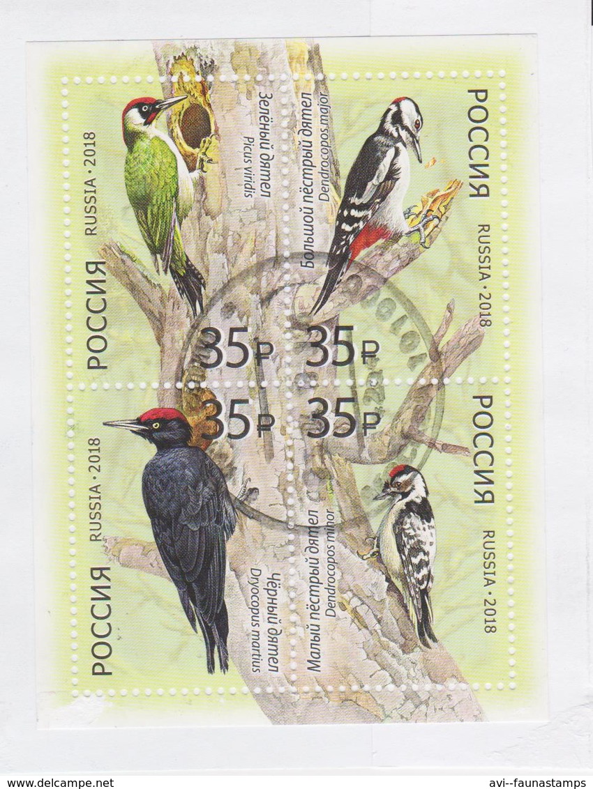 RUSSIA, 2018, Woodpeckers MS Postally Used On Paper - Songbirds & Tree Dwellers