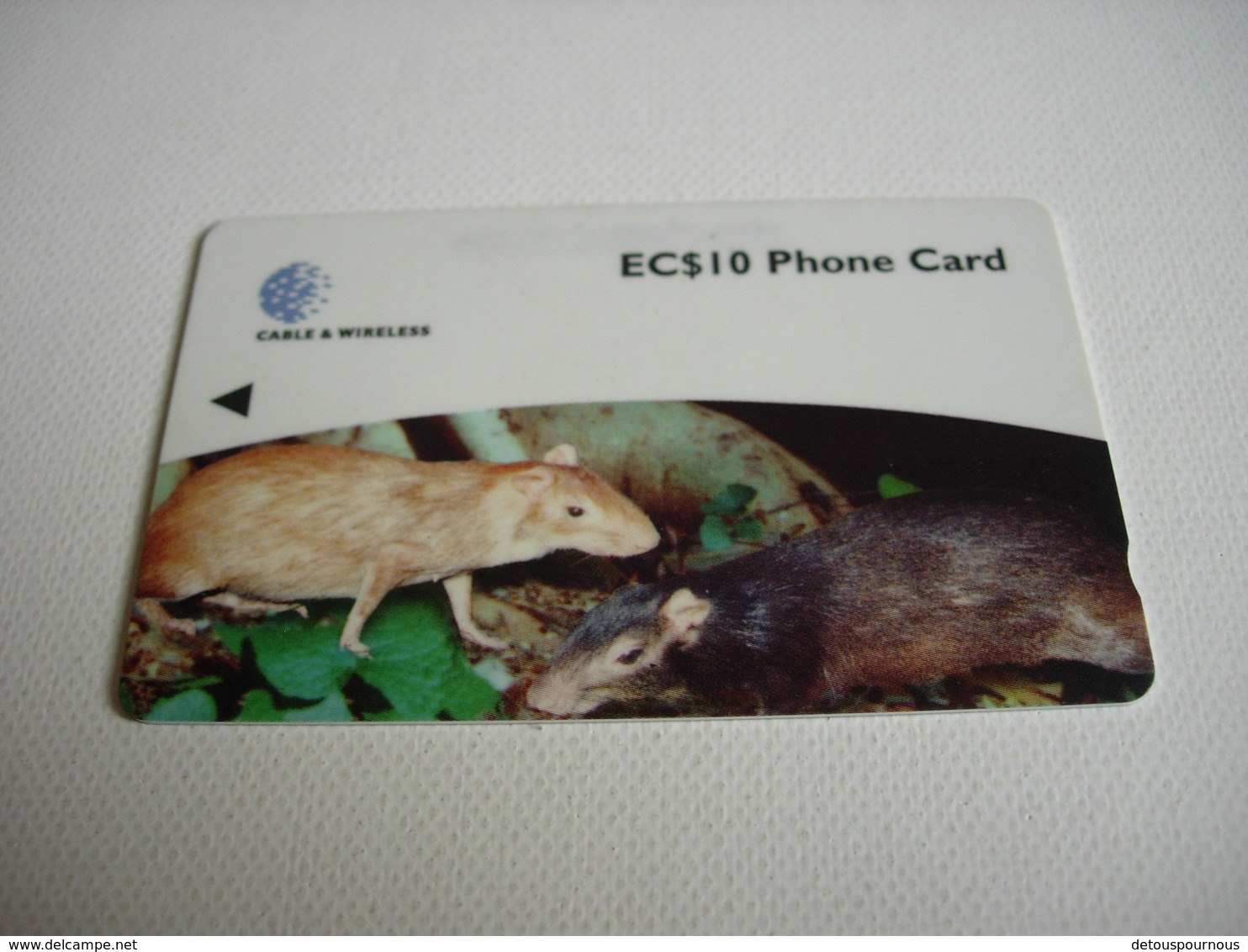 TELECARTE DOMINICA EC$10 PHONE CARD 248CDMA004630 - St. Lucia