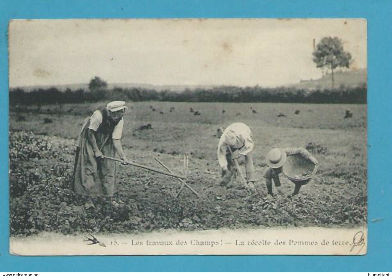 CPA Campagne Travaux Des Champs Métier La Récolte Des Pommes De Terre - Cultures