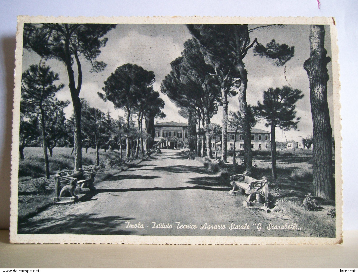 1957 - Imola - Istituto Tecnico Agrario G. Scarabelli - Scuola - Cartolina Storica Originale - Imola