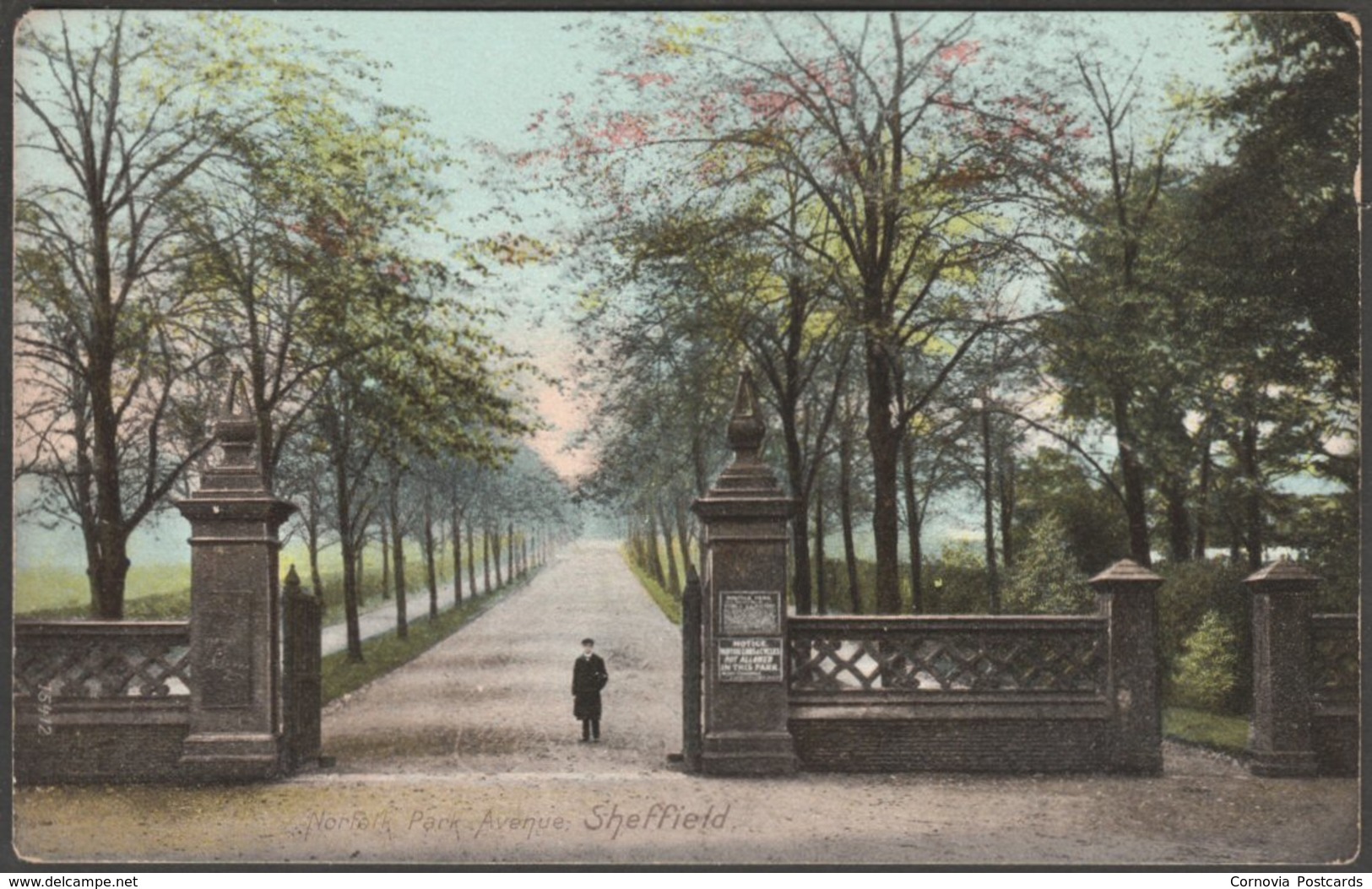 Norfolk Park Avenue, Sheffield, Yorkshire, C.1905-10 - Wrench Postcard - Sheffield