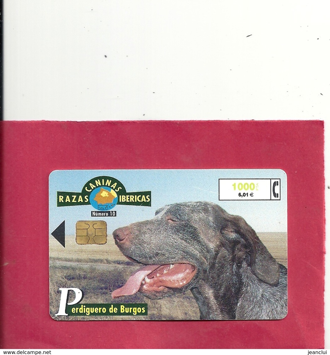 RAZAS CANINAS IBERICAS . N° 10 . PERDIGUERO DE BURGOS . 1.000 Pta 6,01€ - Emissions Basiques