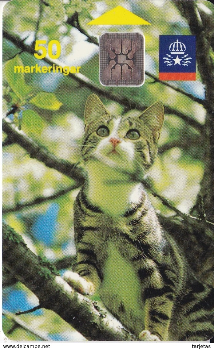 TARJETA DE SUECIA DE UN GATO (CAT-CHAT) - Suecia