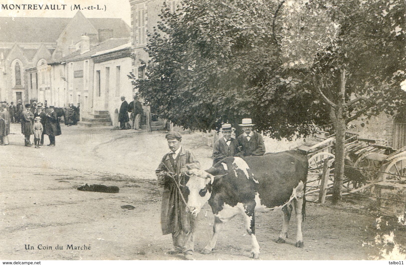 49 - Montrevault - Un Coin Du Marché - Montrevault