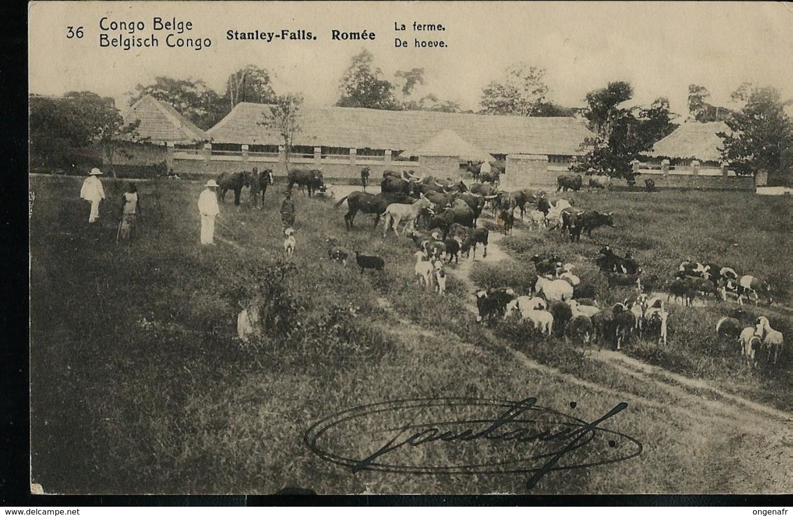 Carte Obl. N° 42. Vue 36. Stanley-Falls . Romée  La Ferme ; Obl. Boma 23/11/19 .. - Interi Postali