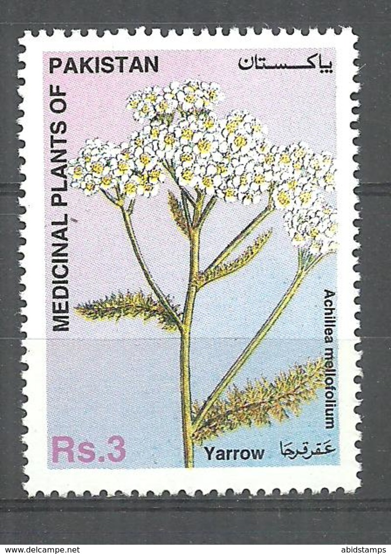 PAKISTAN STAMP 1996  MEDICAL PLANT YARROW MNH - Pakistan