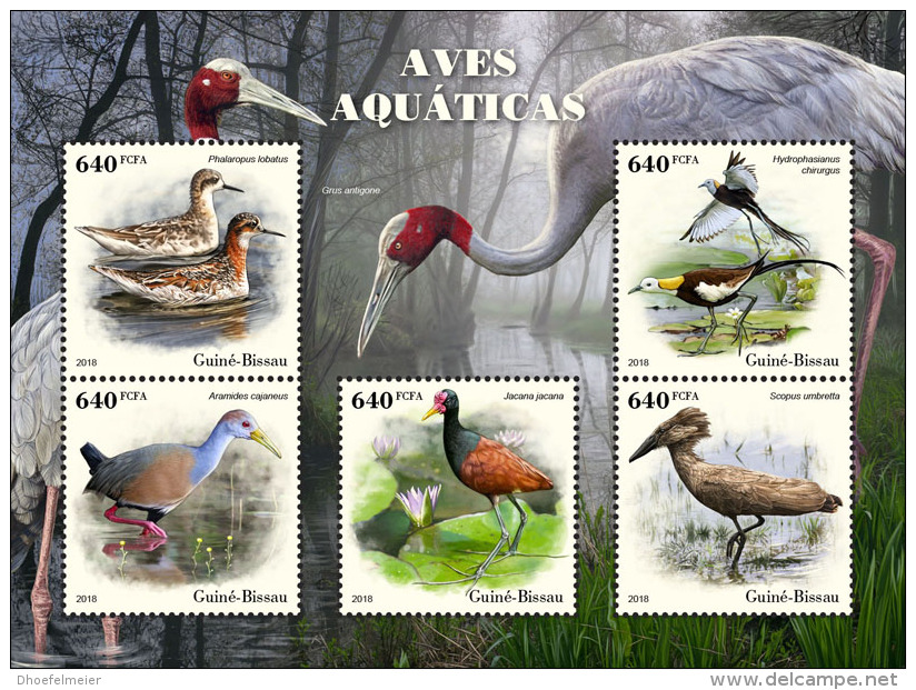 GUINEA BISSAU 2018 MNH** Water Birds Wasservögel Oiseaux Aquatiques M/S - OFFICIAL ISSUE - DH1826 - Altri & Non Classificati