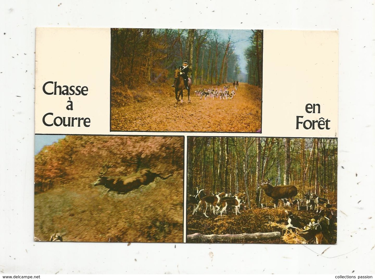 Cp , Sports , CHASSE A COURRE En Forêt , Multi Vues , Voyagée 1985 , Ed. Combier - Caza