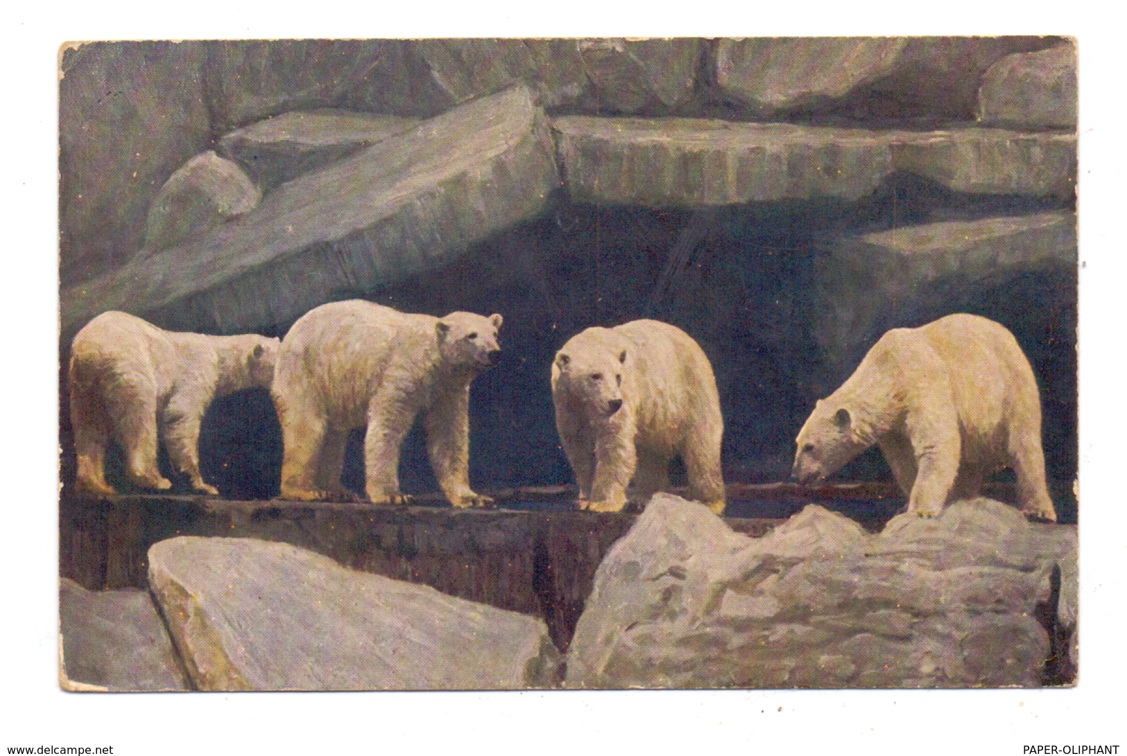 2000 HAMBURG - STELLINGEN, Zoo Hagenbeck, Eisbären, 1927 - Stellingen