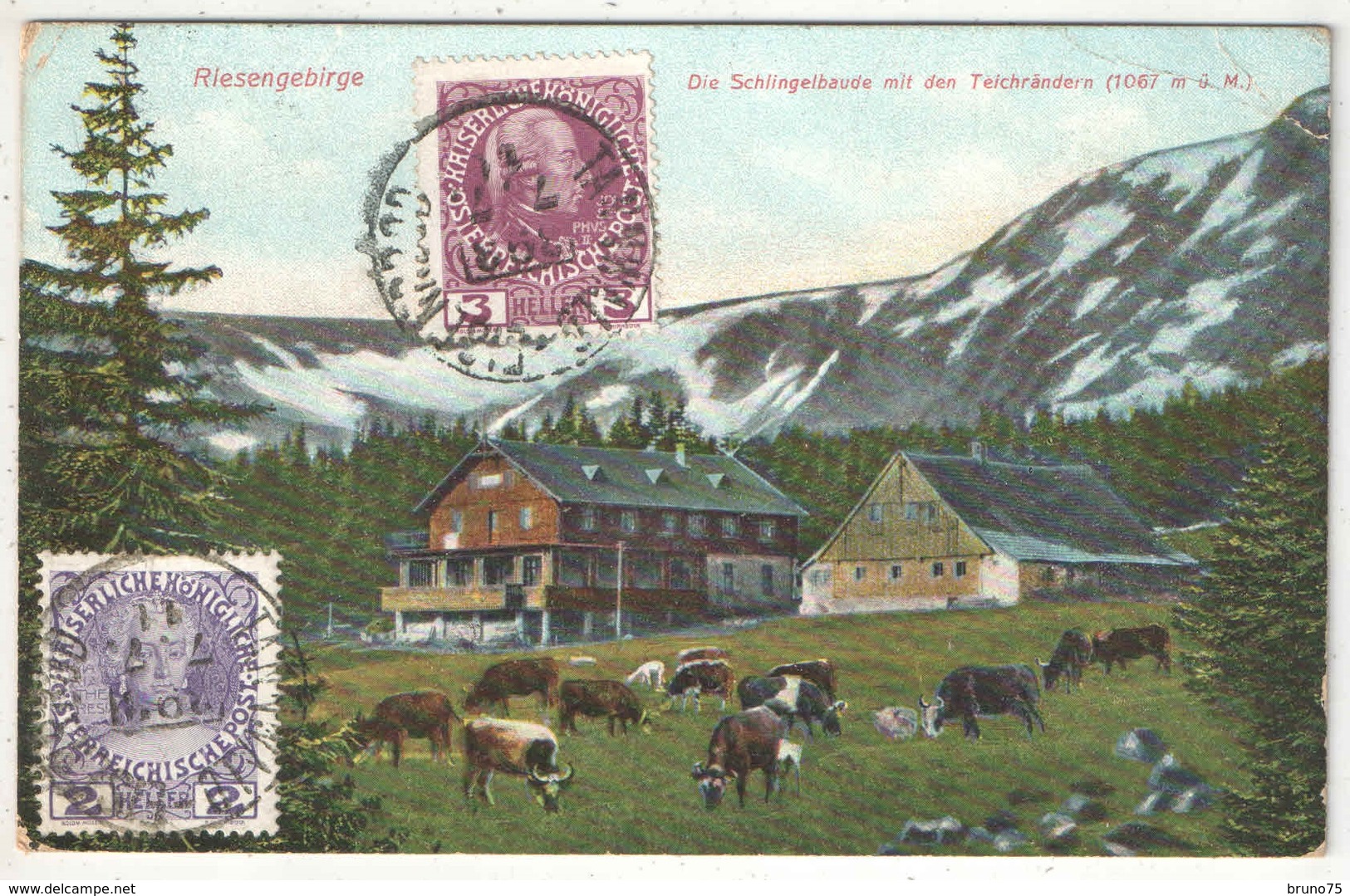 RIESENGEBIRGE - Die Schlingelbaude Mit Den Teichrändern - 1911 - Sudeten