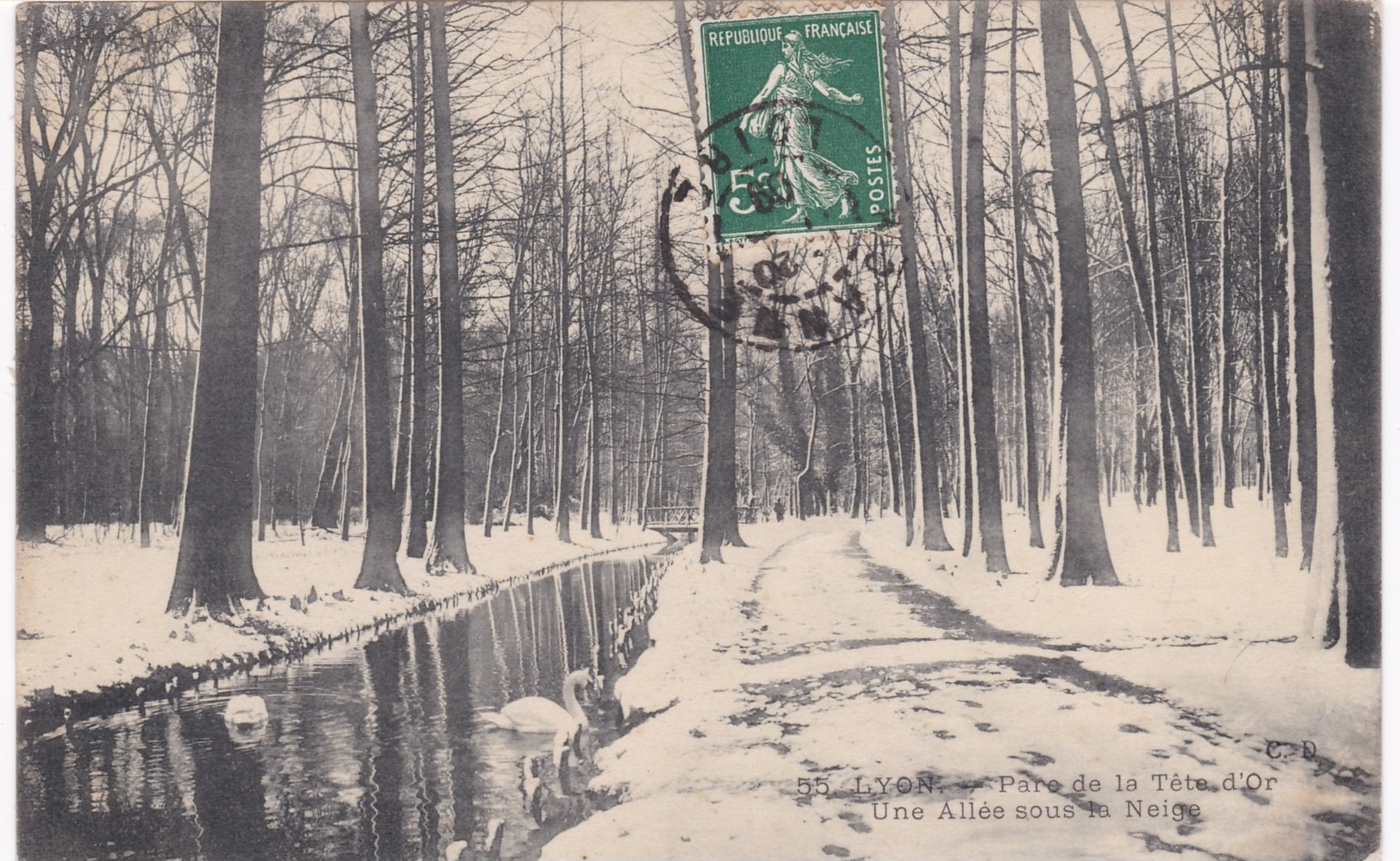 Rhône - LYON - Parc De La Tête D'Or - Une Allée Sous La Neige - 1909 - Autres & Non Classés